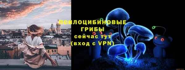 хмурый Алексин