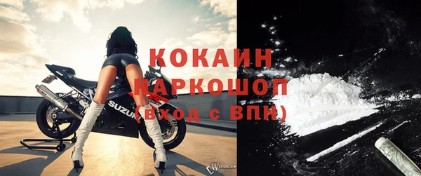 хмурый Алексин