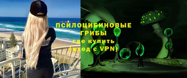 хмурый Алексин